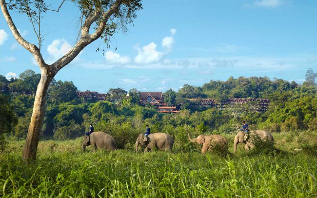 Anantara Golden Triangle Elephant Camp and Resort, Thaïlande