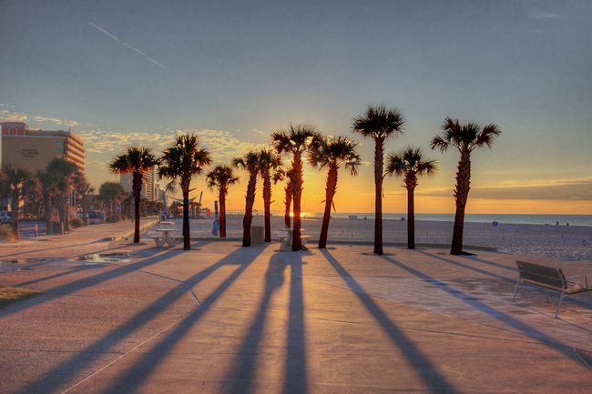 Lever du soleil derrière une rangée de palmiers le long de la magnifique promenade de Gulf Shores