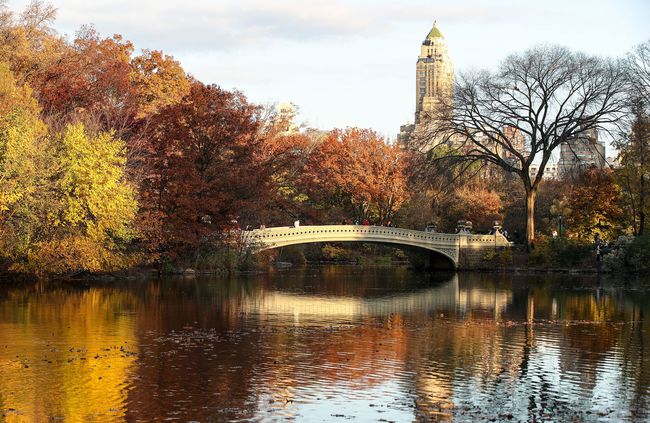 Bow Bridge est vu alors que les gens apprécient le feuillage d'automne au Central Park de New York, aux États-Unis, le 10 novembre 2020.