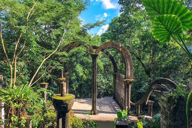 Un jardin surréaliste construit au milieu d'une jungle mexicaine dans la ville de Xilitla