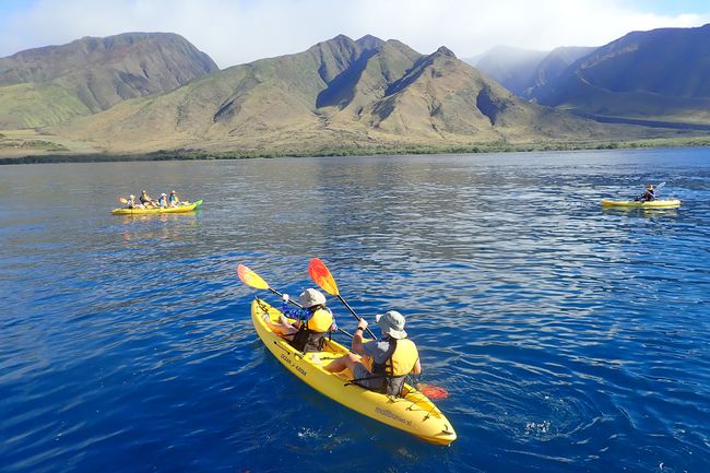 Kayak au large de la côte de Maui avec UnCruise Adventures