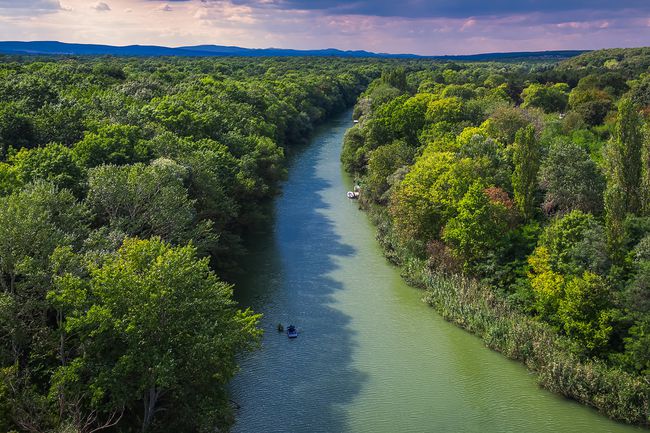 Vue aérienne de la rivière sur la forêt verte et le bateau en Amazonie