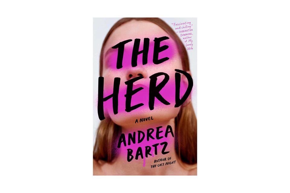 Couverture du livre The Herd d'Andrea Bartz