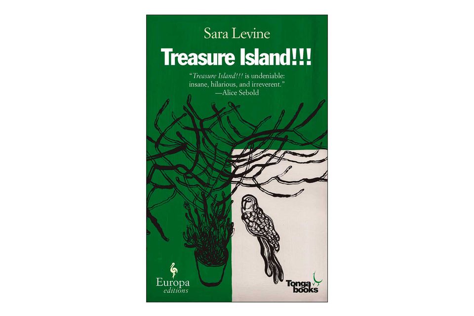 Couverture du livre Treasure Island !!!  par Sara Levine
