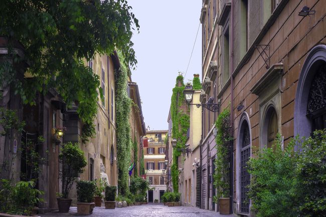 Via Margutta à rome avec des vignes vertes et de larges portes