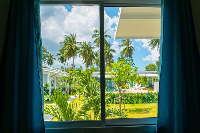 Vue depuis la fenêtre de l'hôtel, la piscine et les palmiers