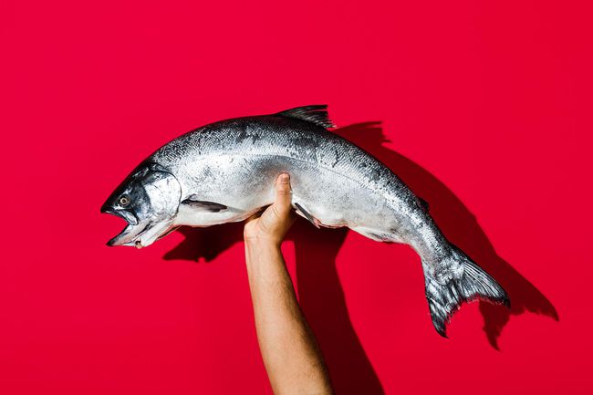 Un homme tenant un saumon d'Alaska de Copper River King Salmon