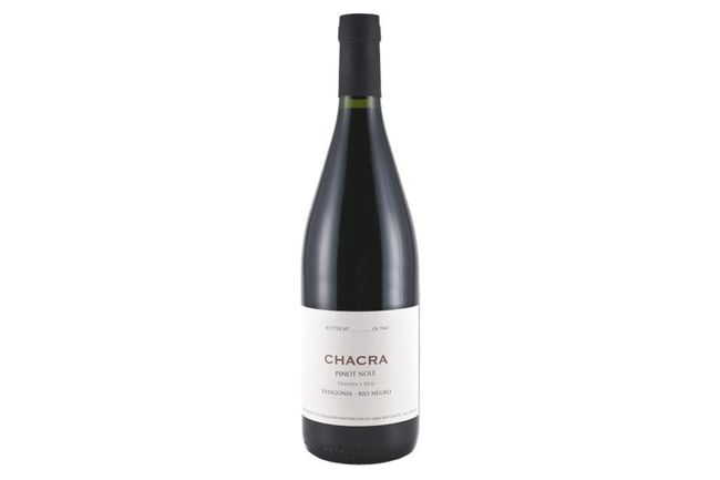2018 Winery Chacra "Treinta y Dos" Pinot Noir Rio Negro Vega Sicilia Unique 2009