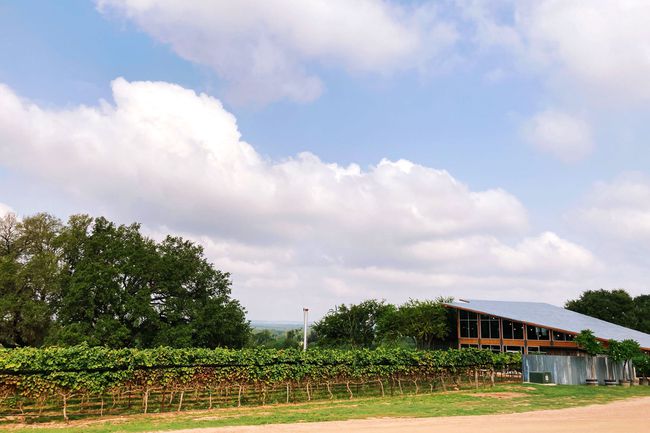 Vignoble et bâtiment du centre d'accueil à William Chris Vineyards à Hye, Texas