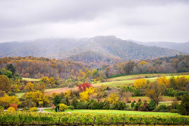 Automne automne feuillage orange saison paysage de campagne rurale au vignoble de Charlottesville dans les montagnes de Blue Ridge de Virginie avec ciel nuageux et collines