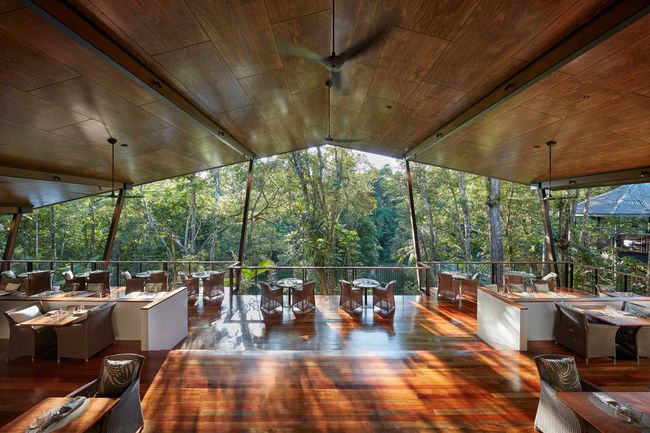 Silky Oaks Lodge dans la forêt tropicale australienne