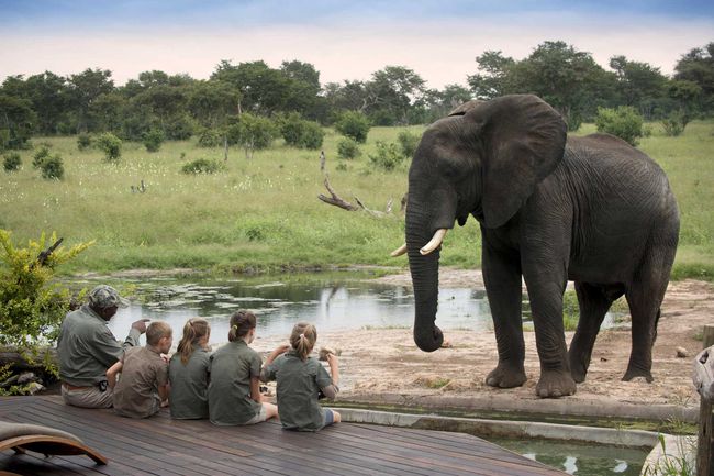 Enfants en safari, regardant un éléphant au Zimbabwe