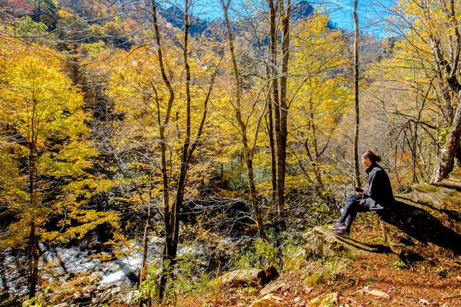 Femme regardant les couleurs de l'automne avec un pic dans la région de Chimney Tops du parc national des Great Smoky Mountains dans le Tennessee, aux États-Unis.