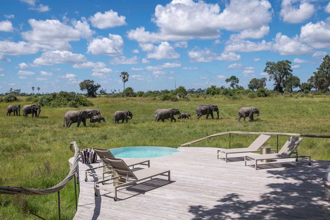 Piscine privée de Mombo et Little Mombo Camp surplombant la prairie des éléphants au Botswana