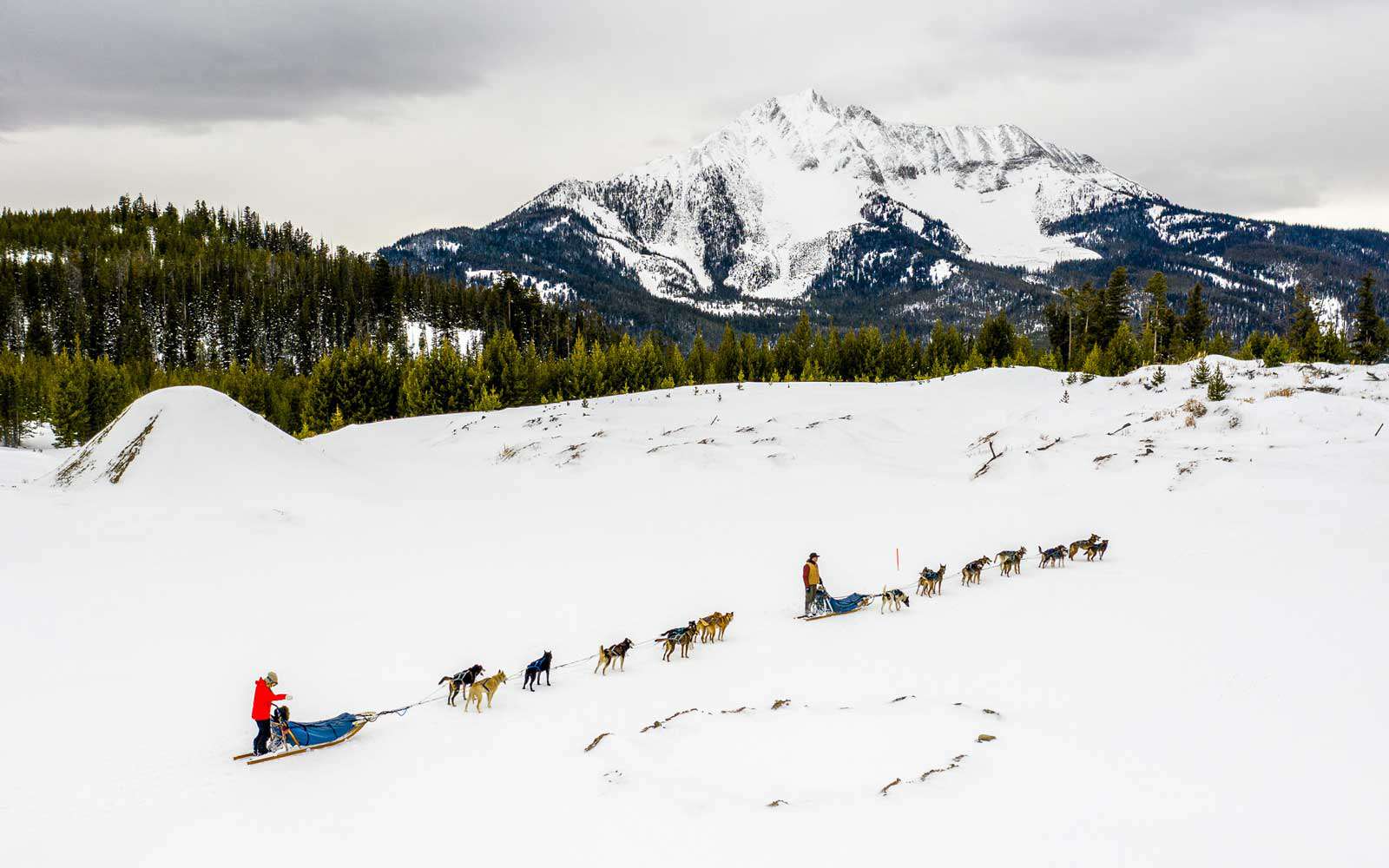 Traîneau à chiens au Big Sky Resort dans le Montana