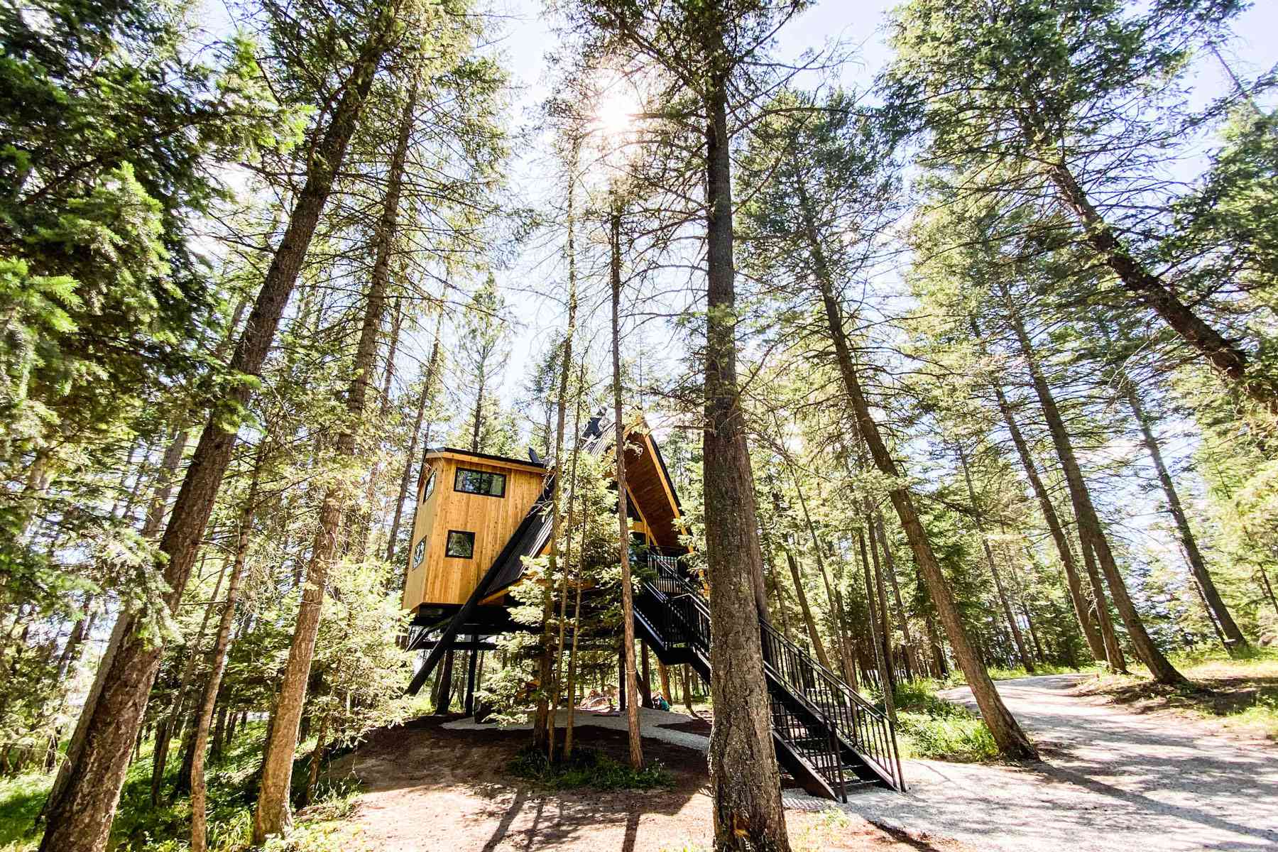 Cabane airbnb maison dans les bois