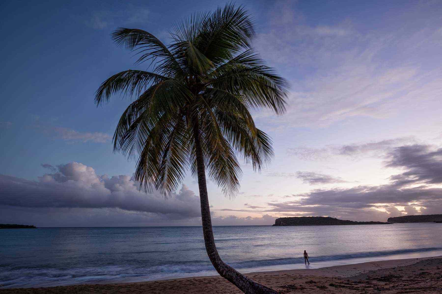 Coucher de soleil sur la plage avec un palmier et une femme au loin.