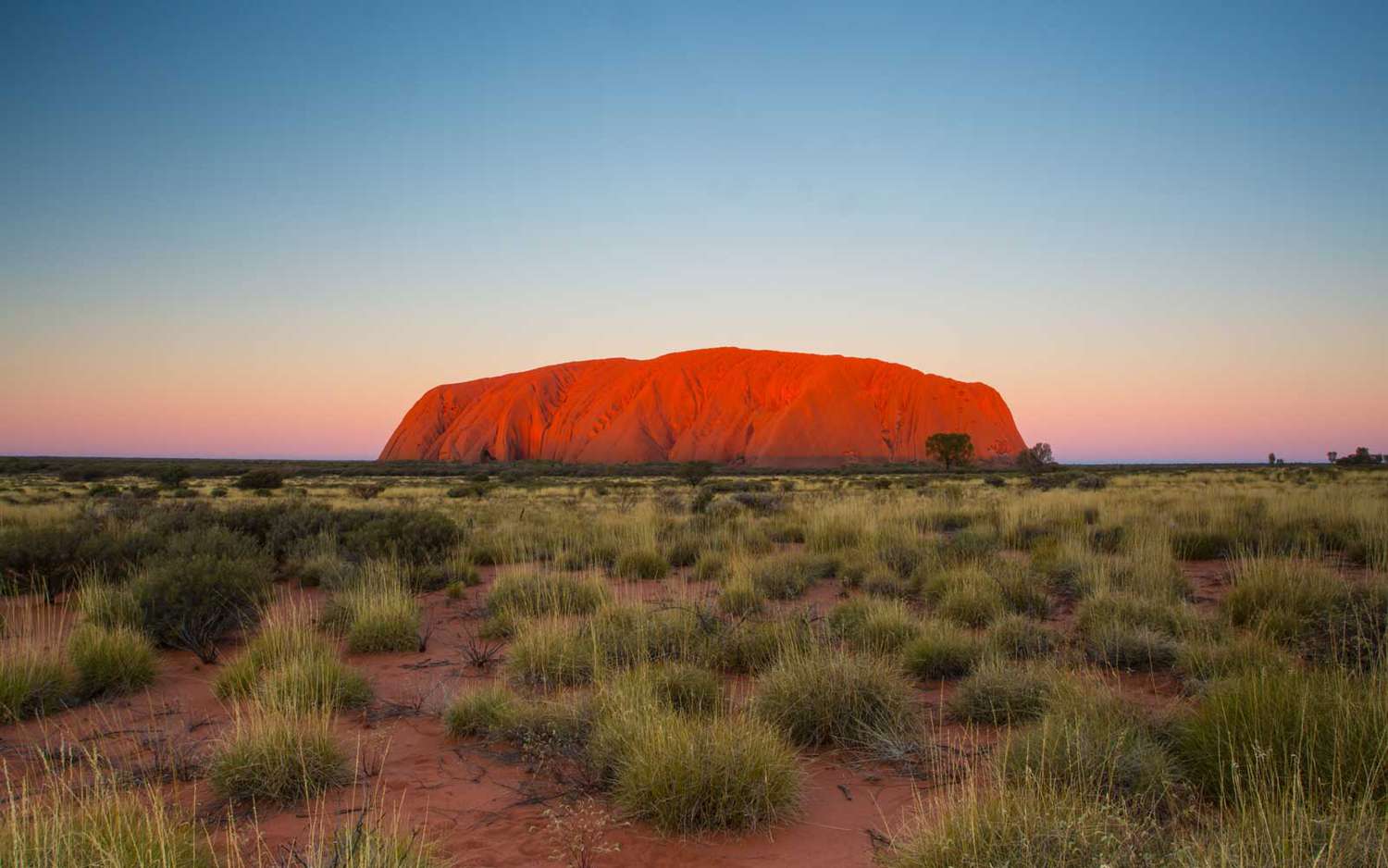 Uluru, AUSTRALIE au coucher du soleil