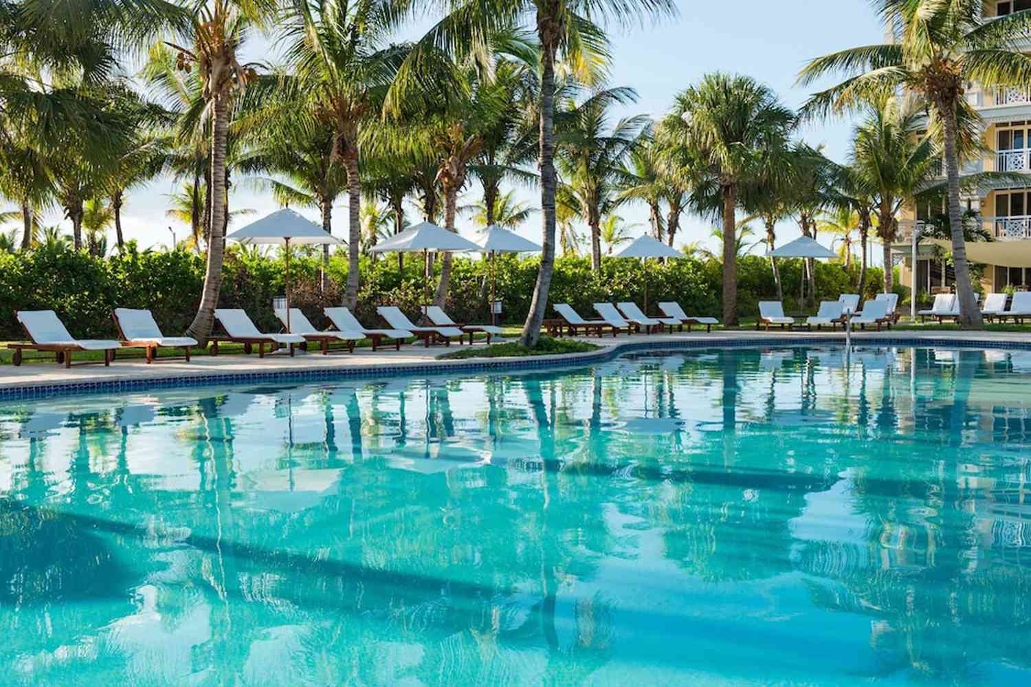 Piscine et palmiers à Alexandra Resort, Providenciales, Turks & Caicos