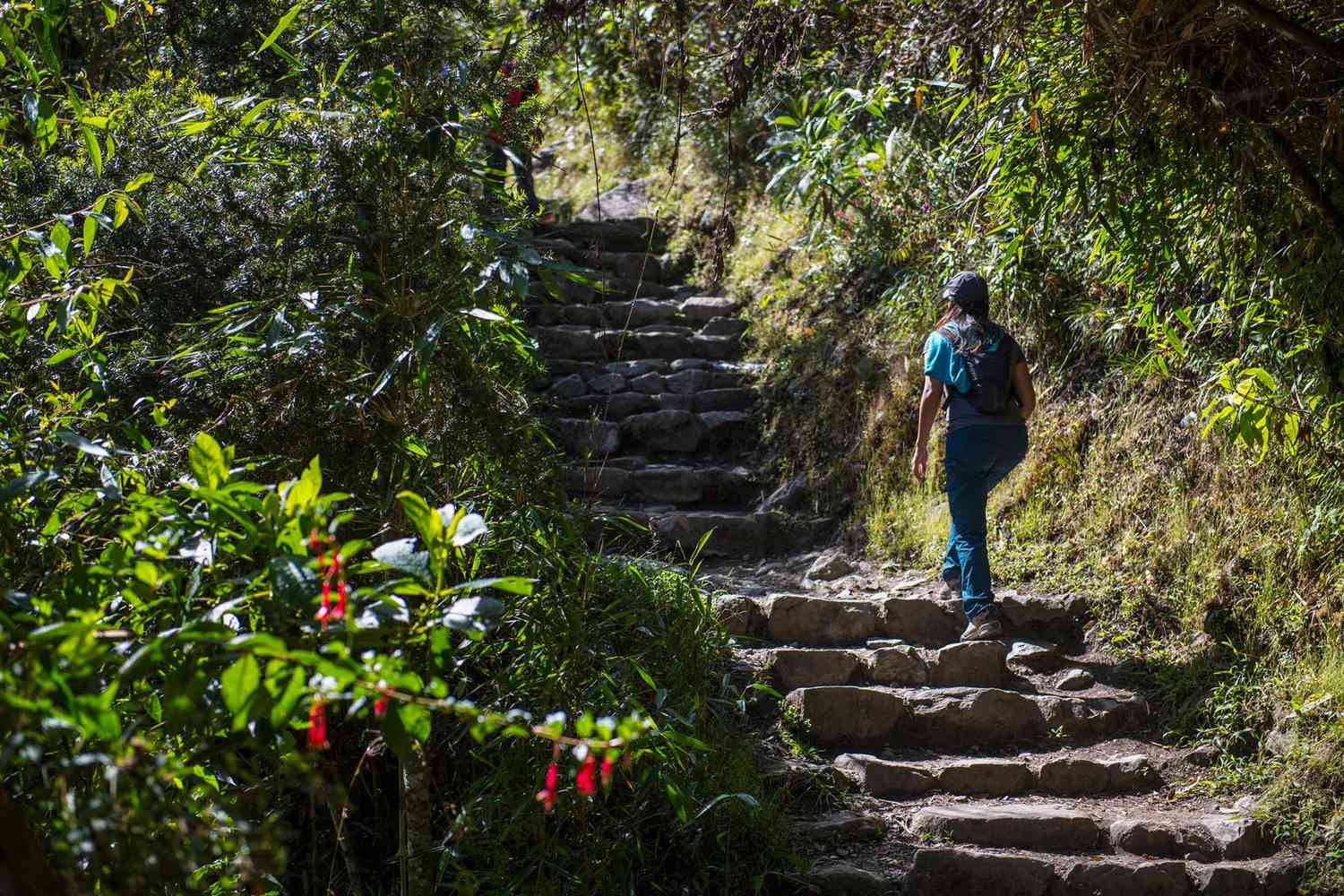 Femme remontant l'escalier sur le chemin de l'Inca près de Machu Picchu