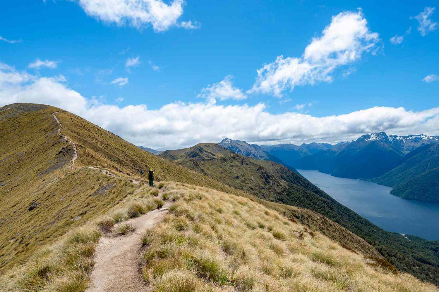 Randonneur sur Kepler Track, vue sur le fjord sud du lac Te Anau, les montagnes Murchison et les montagnes Kepler à l'arrière, Great Walk, Fiordland National Park, Southland, Nouvelle-Zélande