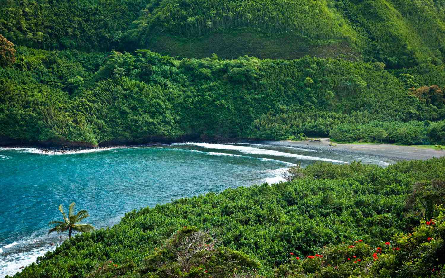 Honokalani Beach Hawaï