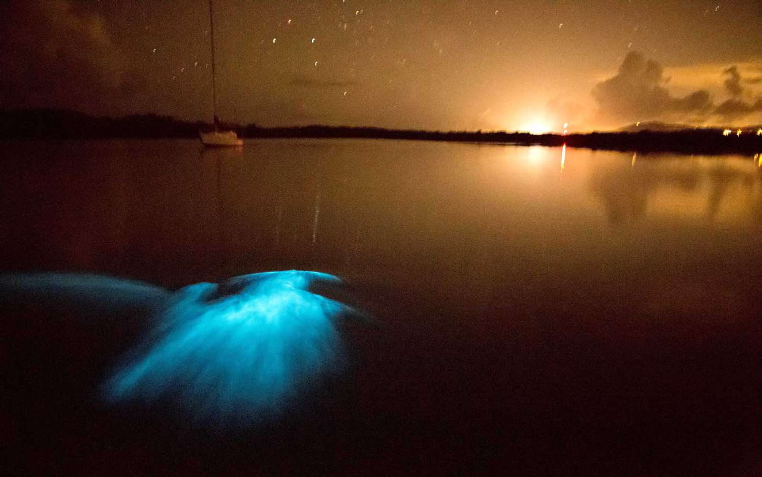 La baie bioluminescente de l'île portoricaine de Vieques