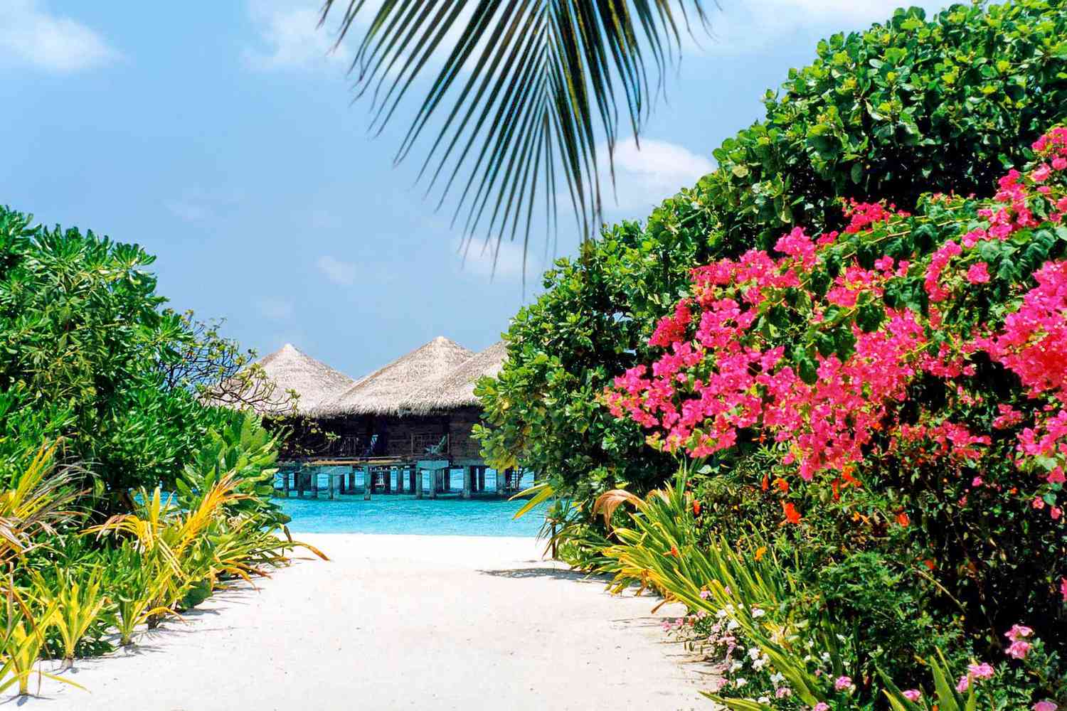 Sentier de la plage aux villas sur pilotis sur l'île de Baros, Maldives