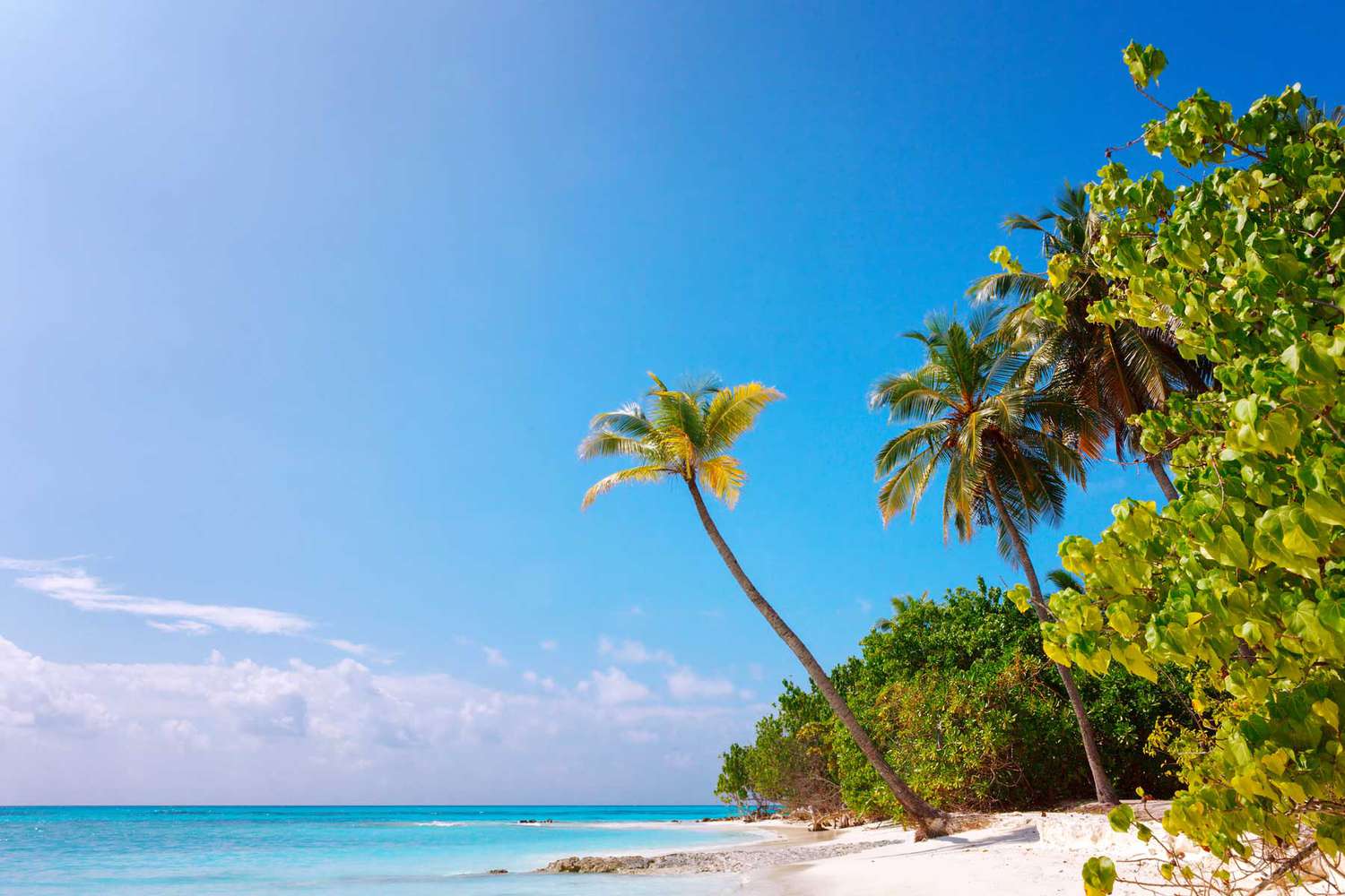 Plage de l'île des Maldives Fulhadhoo avec plage de sable blanc idyllique parfaite et mer et palmier courbe