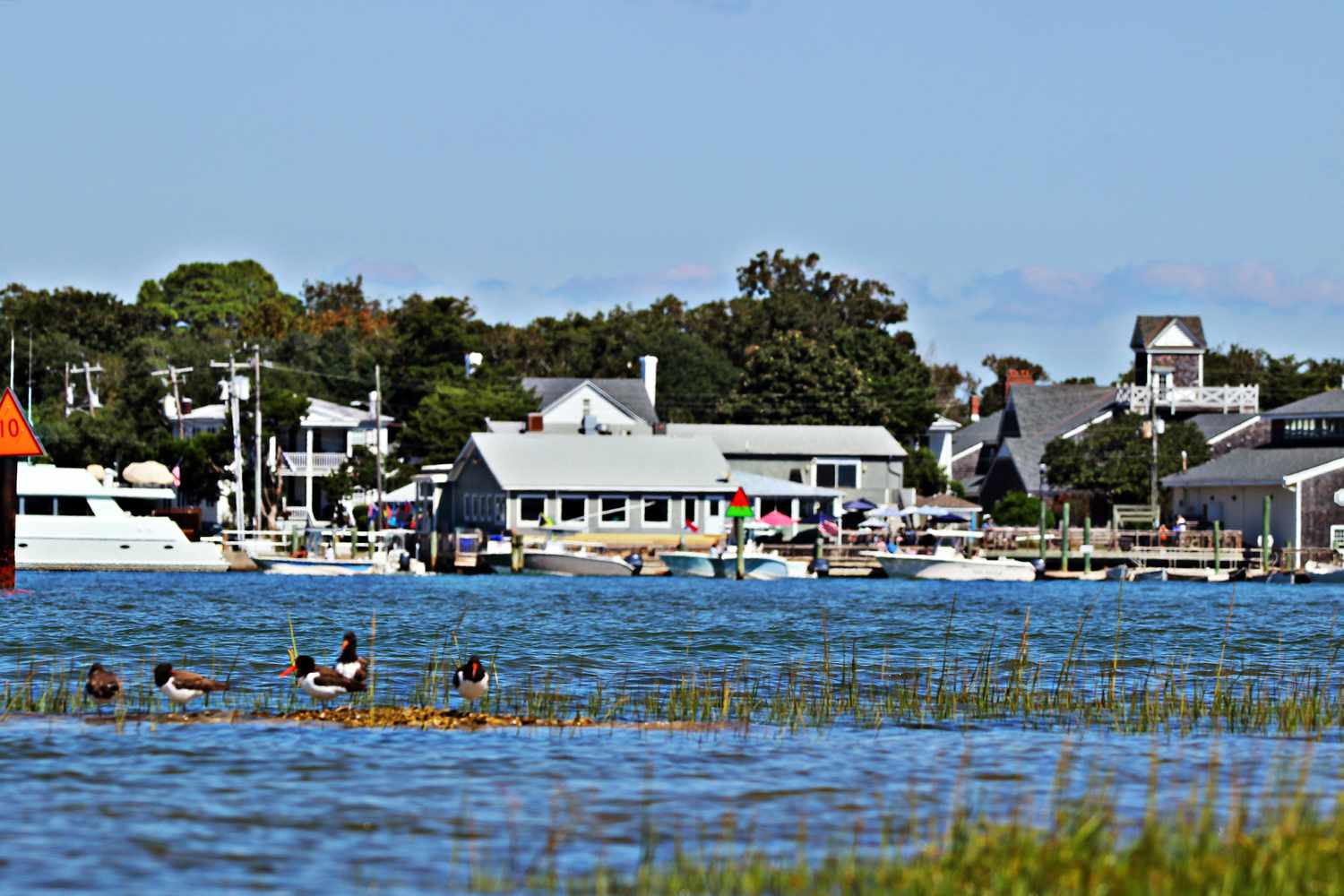 Beaufort, Caroline du Nord, front de mer avec les oiseaux de rivage Huîtrier d'Amérique au premier plan.