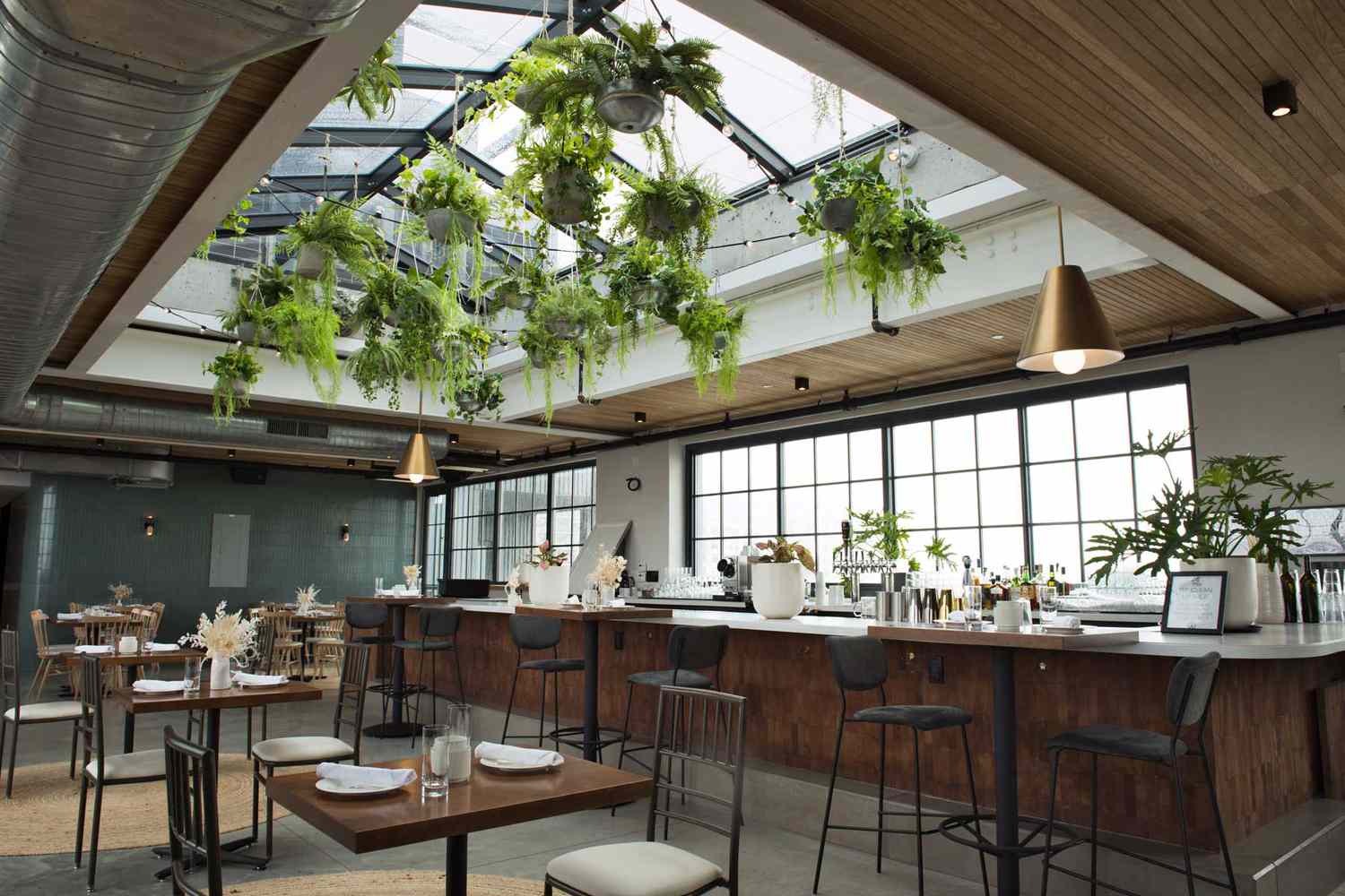 Bar et salle à manger avec plantes suspendues et puits de lumière