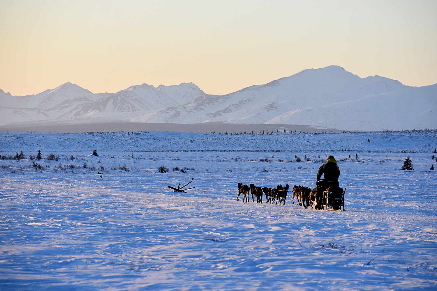 Personne sur un traîneau à chiens dans la neige avec des montagnes enneigées au loin