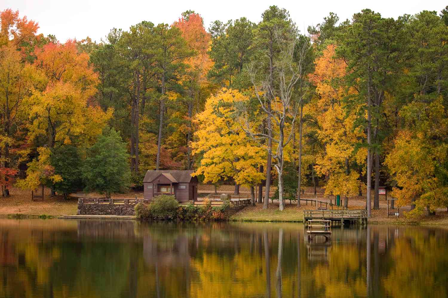 Une cabane Pine Mountain Lake