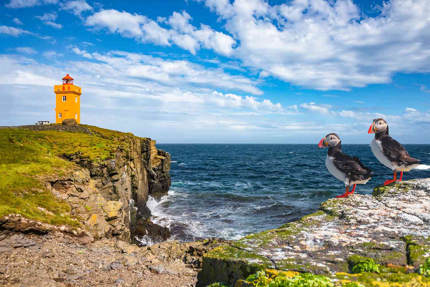 Les macareux de l'Atlantique Nord assis devant le phare orange en Islande