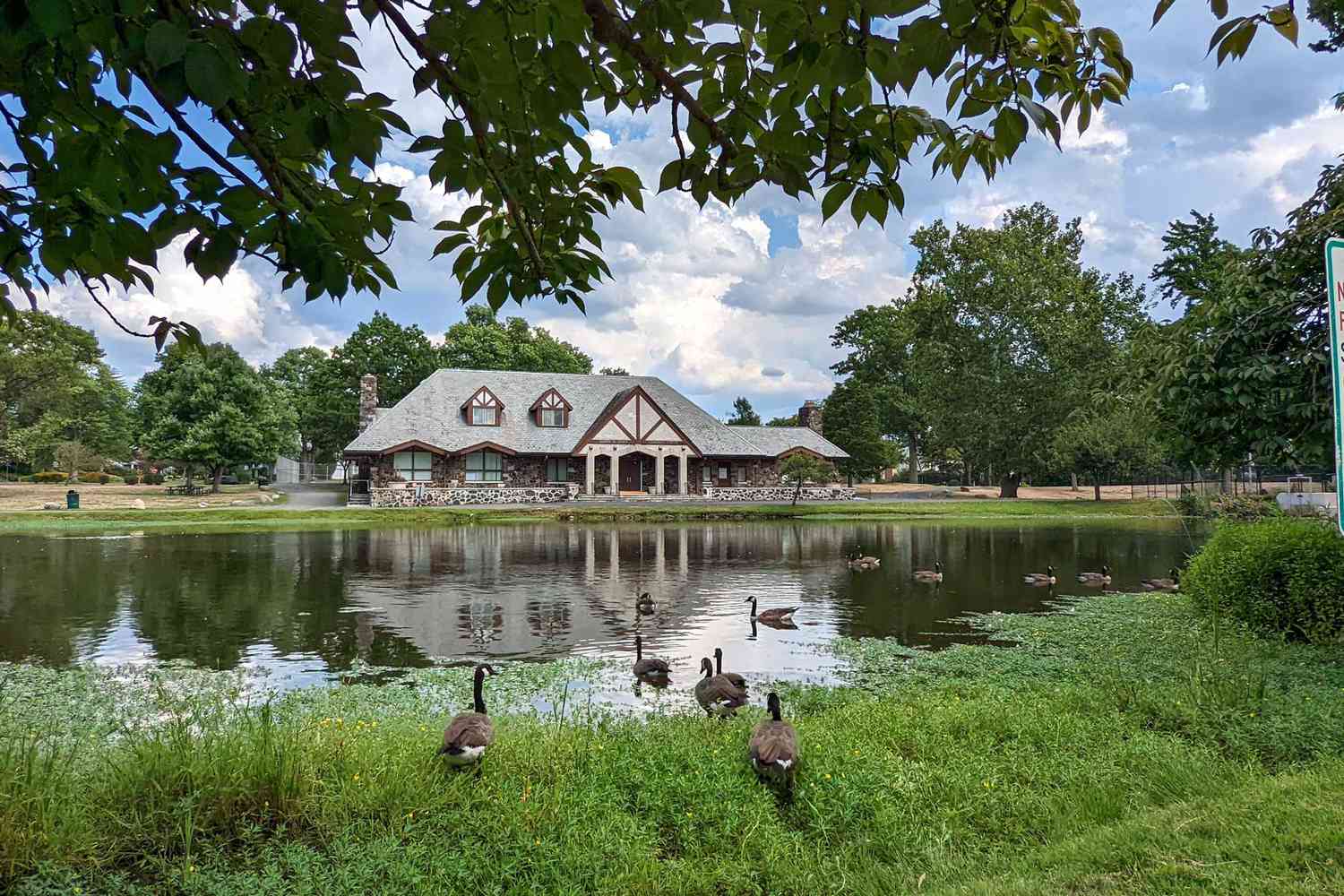 Taylor Park à Millburn, NJ avec des canards et un étang 