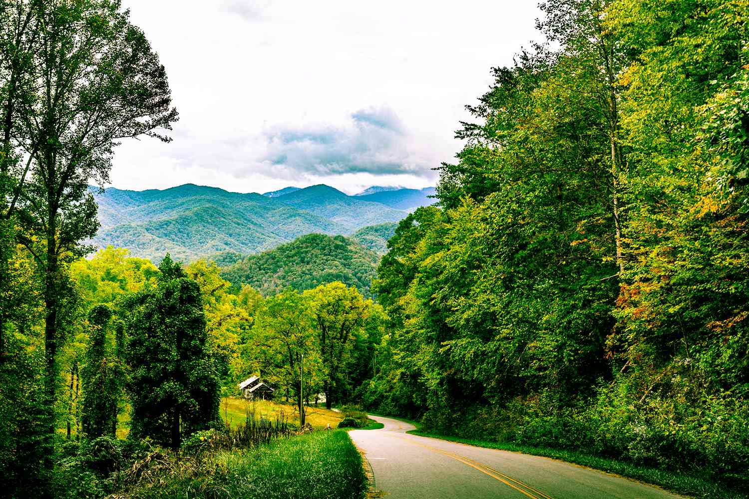 Route de campagne dans les Appalaches - Été - Les Smoky Mountains - Plein air - Près de Bryson City en Caroline du Nord