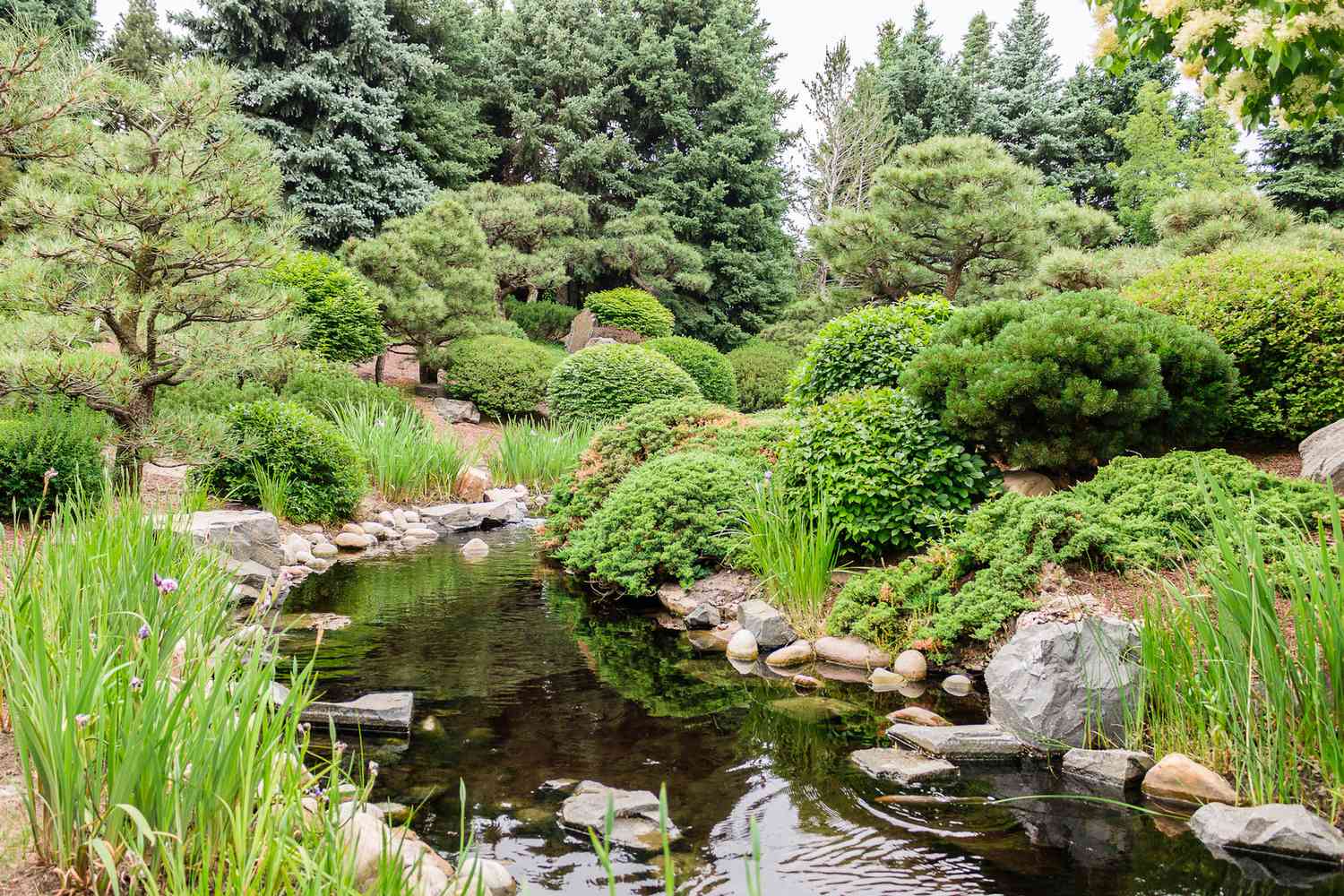 Jardin japonais des jardins botaniques de Denver