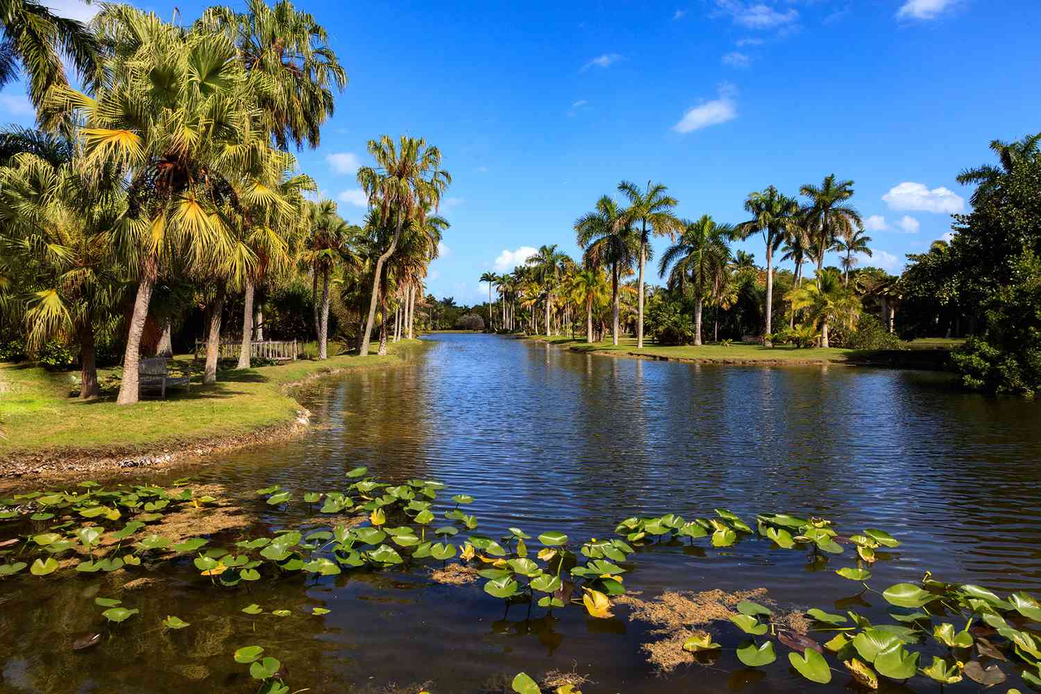 Prairie et étang à Fairchild Tropical Botanic Garden, Florida, USA