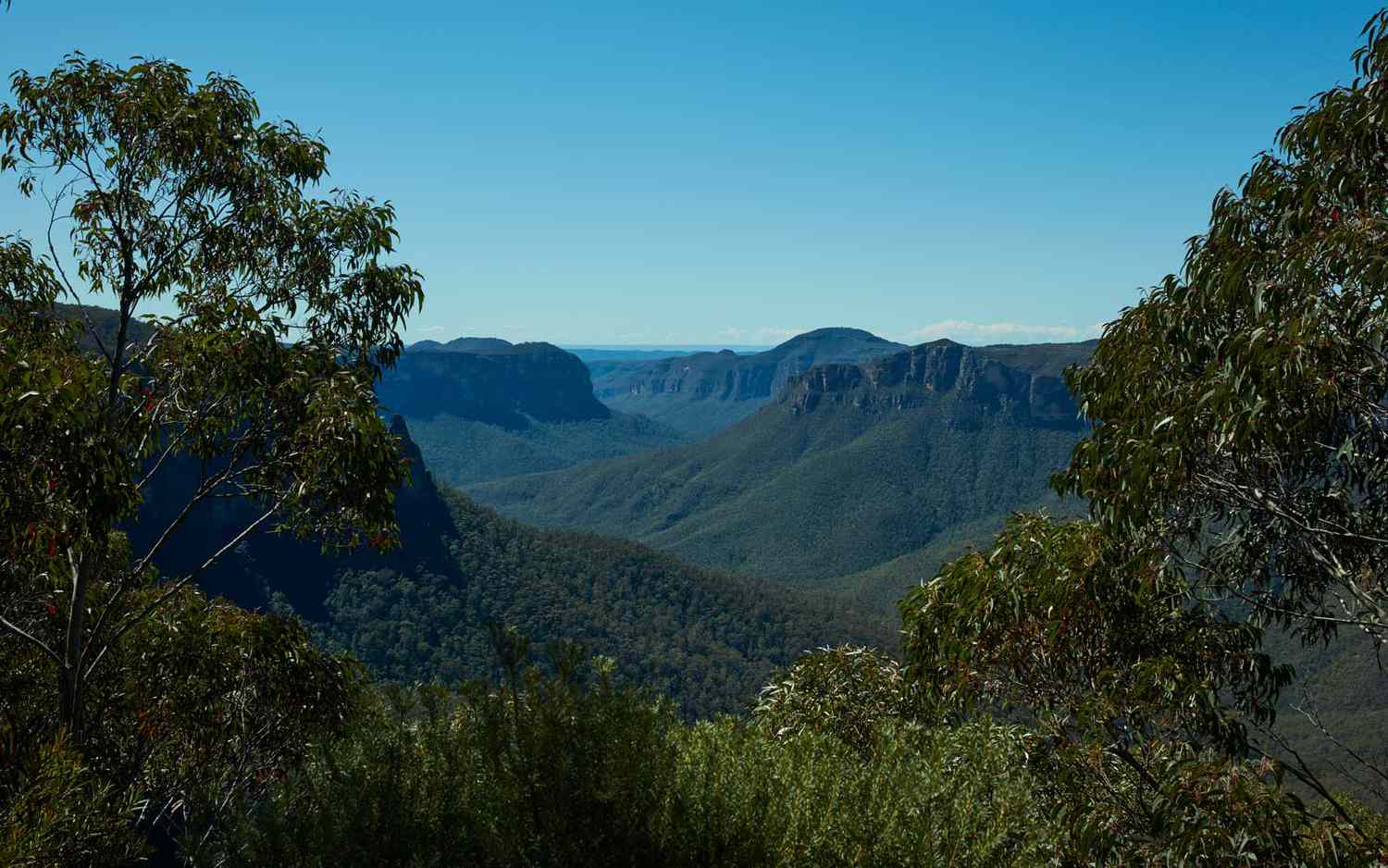 Govetts Leap Lookout, Blue Mountains, NSW, Australie