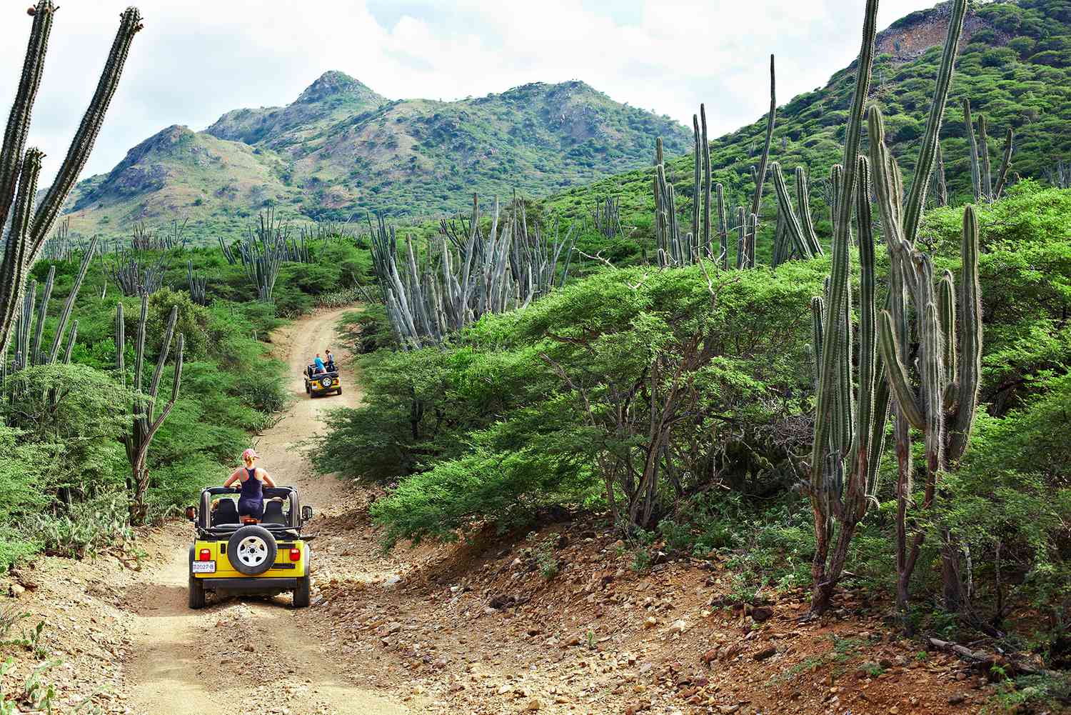 Un tour en jeep à travers les tropiques