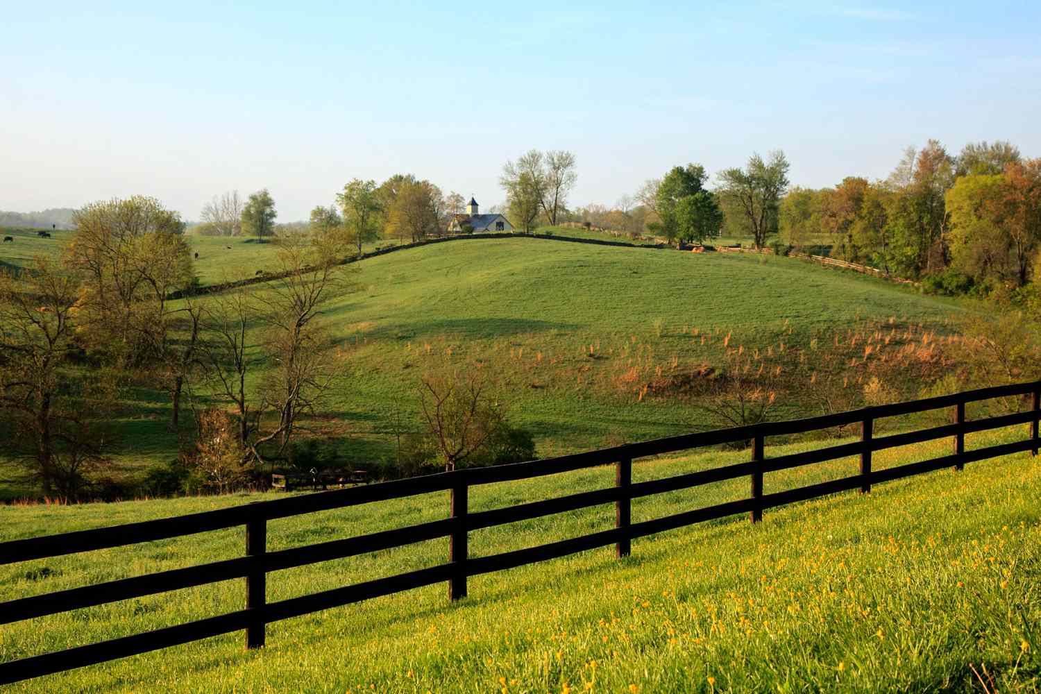 Les collines verdoyantes d'une ferme et la campagne, Goodstone Inn à Middleburg, en Virginie.