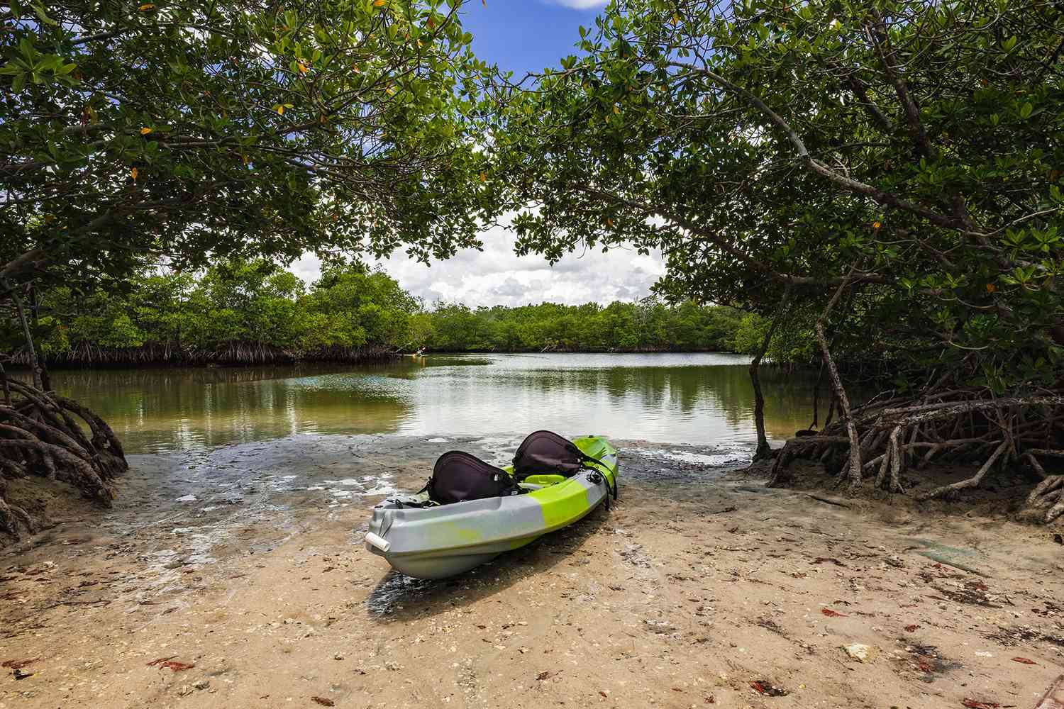 Vue panoramique sur la baie de la mangrove avec un kayak à terre le long de la baie dans le parc d'état d'Oleta River à North Miami Beach.