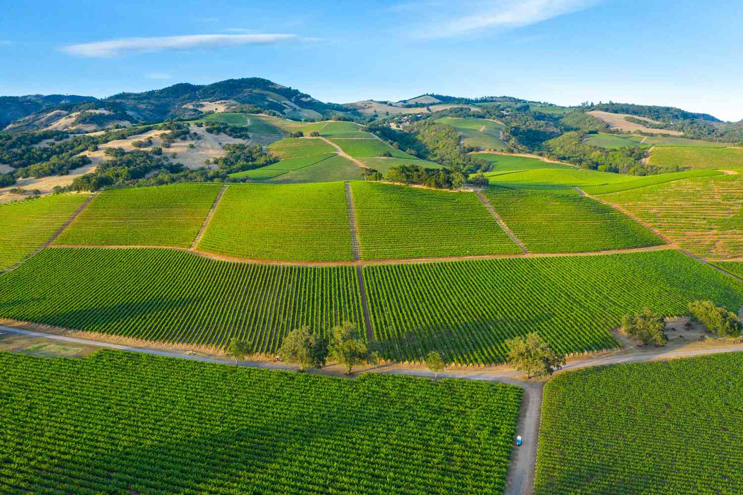 Vue aérienne de Sonoma Country en Californie par une belle journée ensoleillée