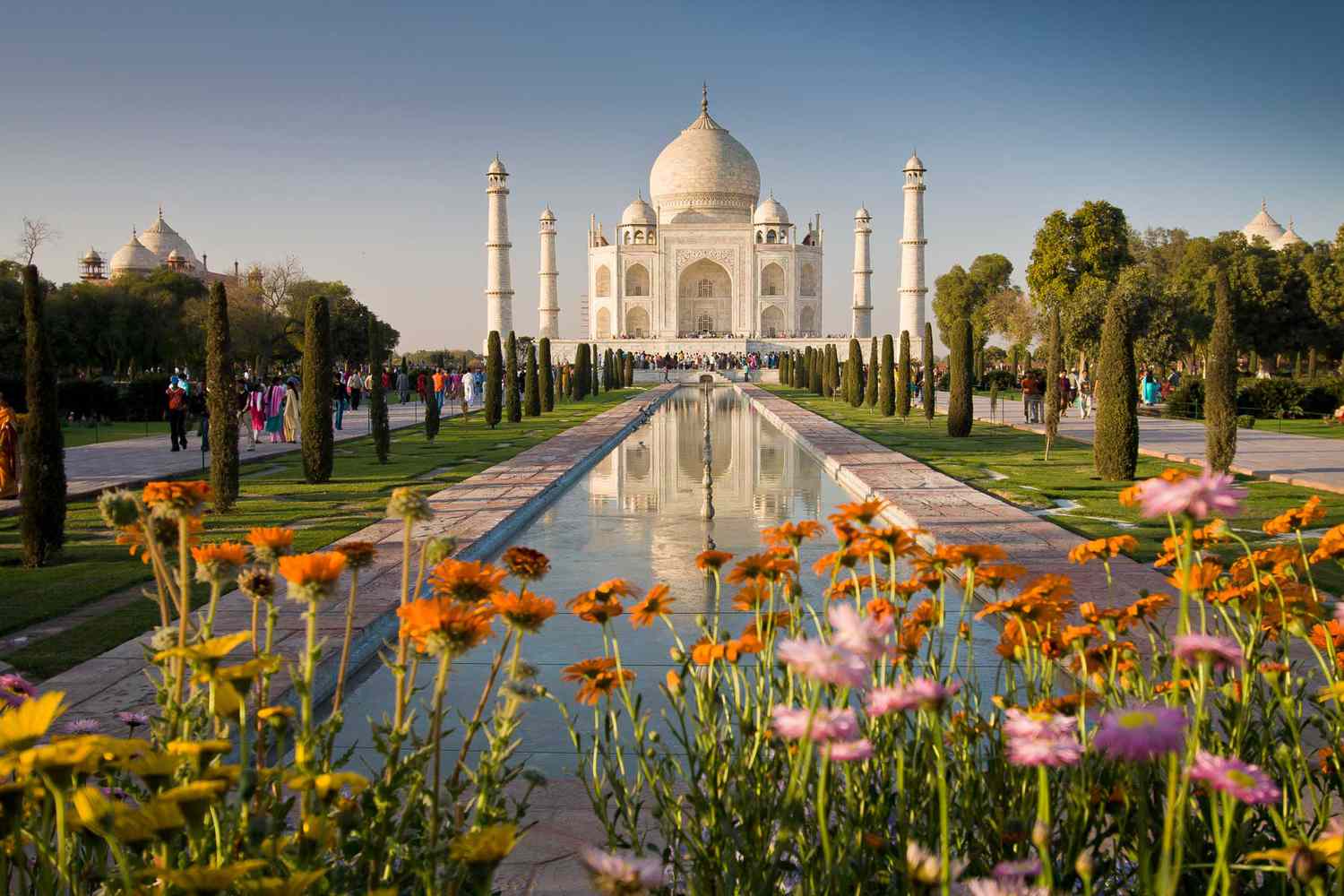 Taj Mahal avec des fleurs lumineuses au premier plan