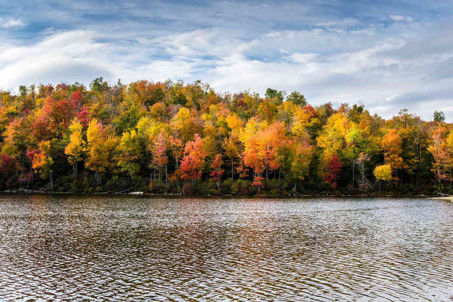 Rives boisées d'un lac de montagne en automne.  Feuillage d'automne vibrant.