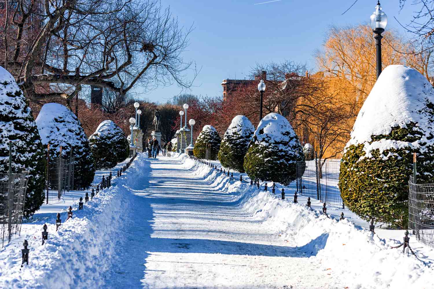 Boston Park et la statue de George Washington avec de la neige recouvrant le sol et les arbres