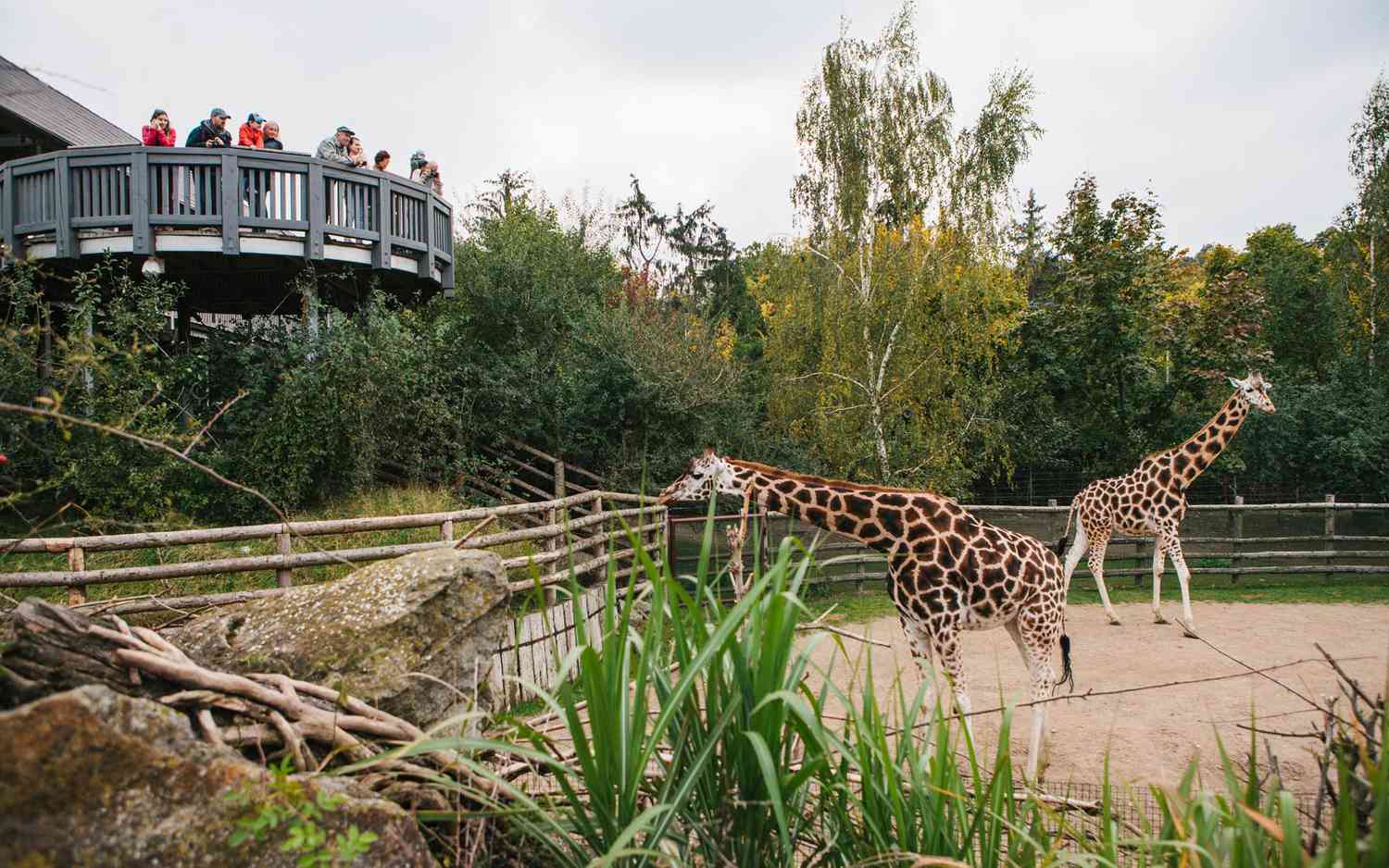Zoo de Prague