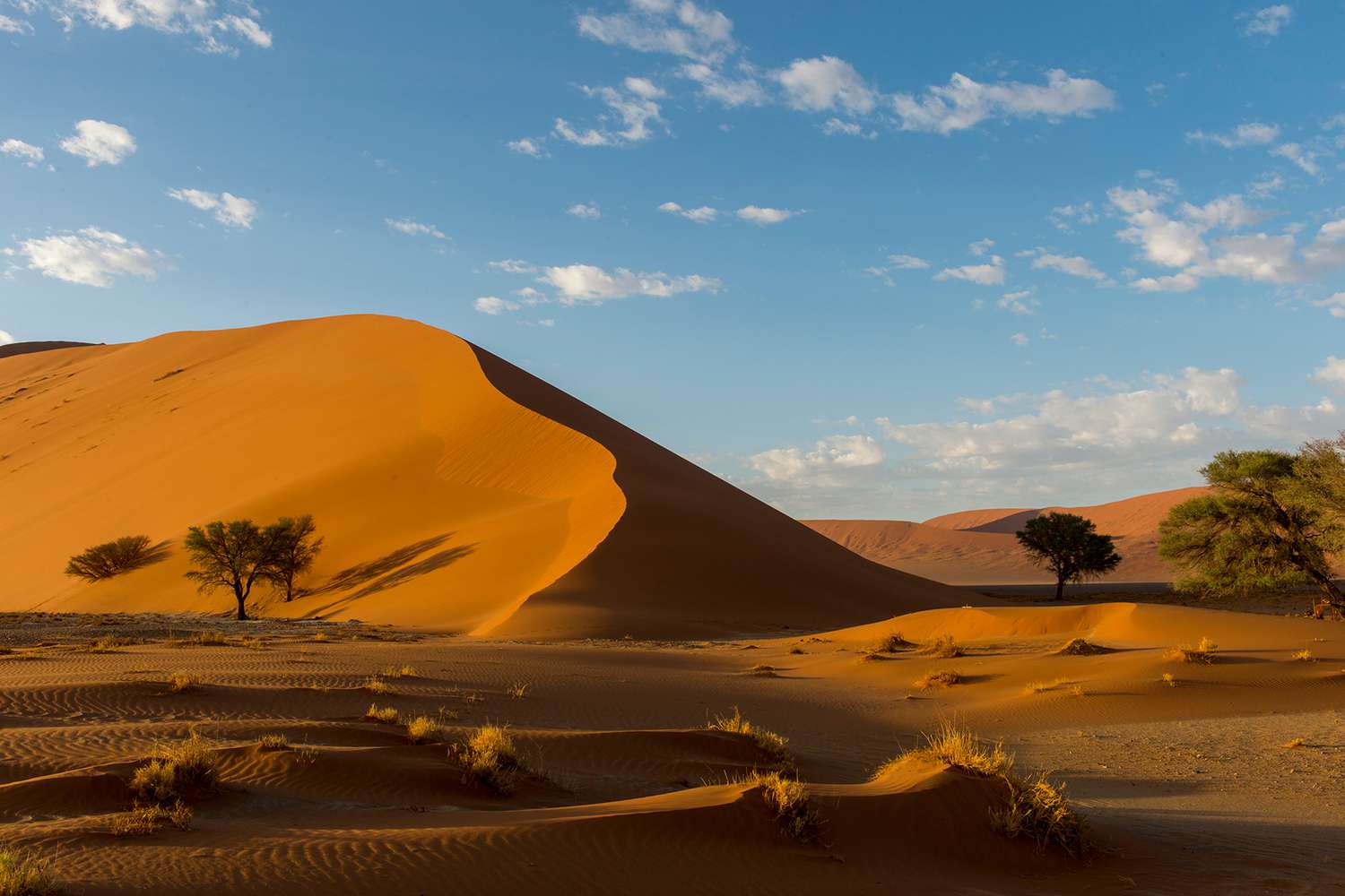 Une dune de sable rose dans la région de Sossusvlei, Namib-Naukluft National Park en Namibie