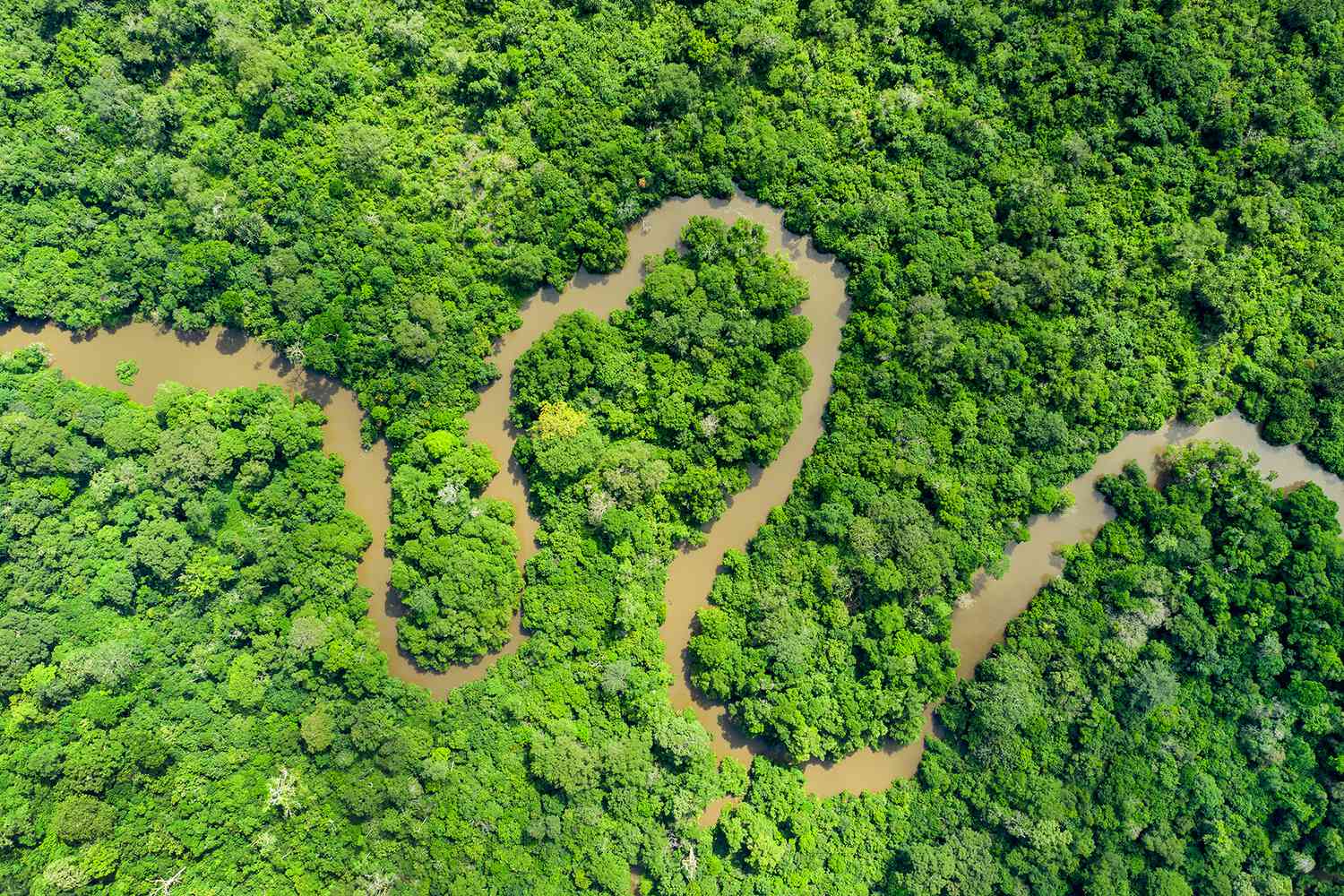 Vue aérienne de la forêt tropicale du bassin du Congo dans le parc national d'Odzala, République du Congo