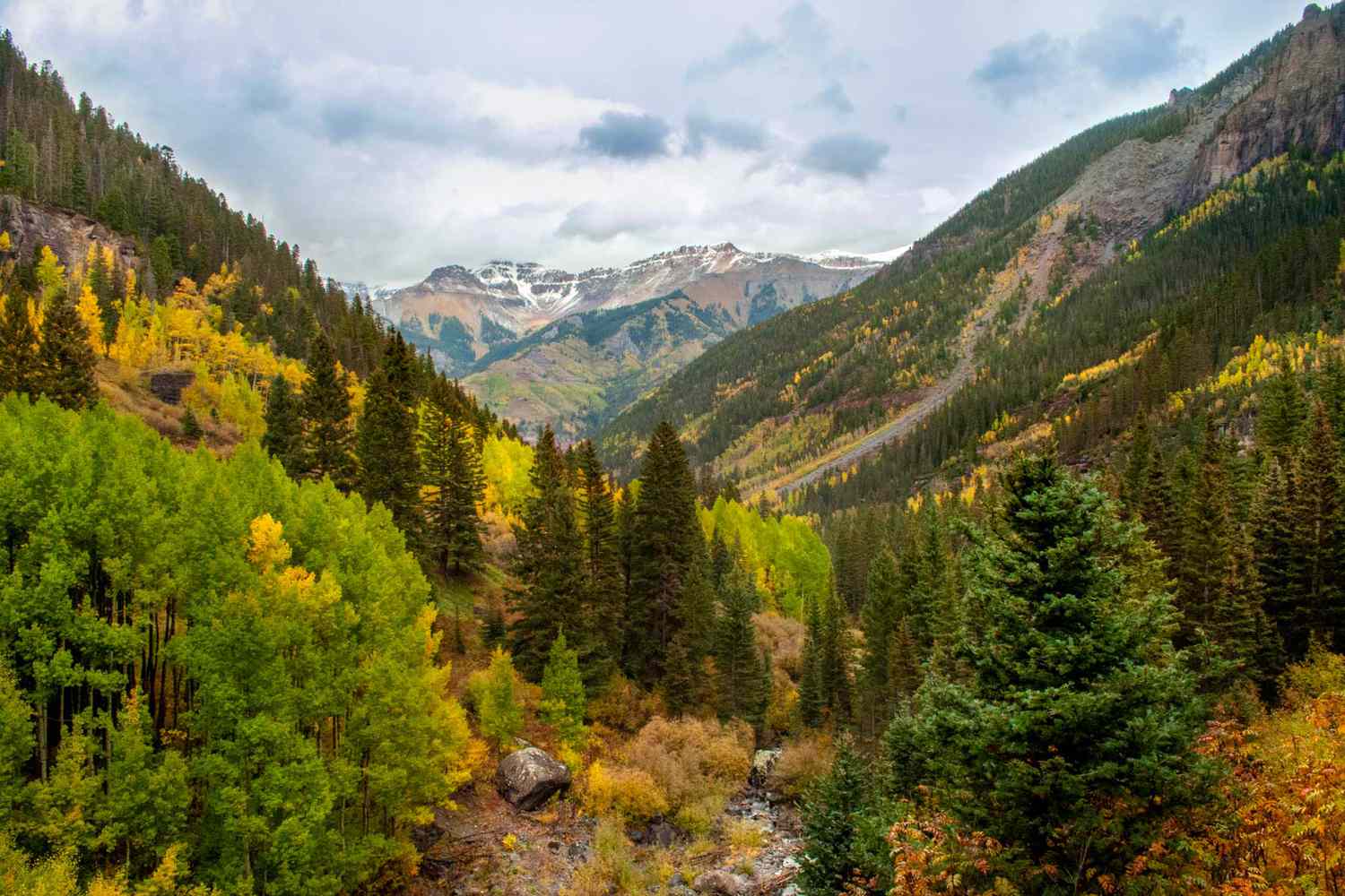 Arbres et montagnes à l'automne à Telluride, Colorado
